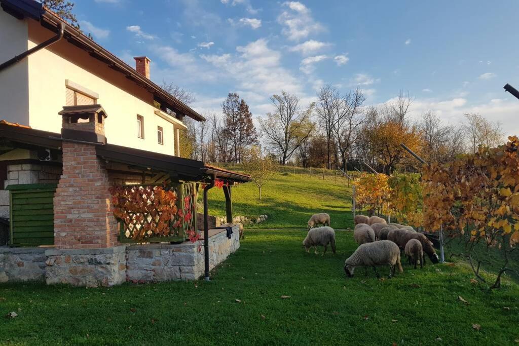 Guest House Pinus Generalski Stol Buitenkant foto